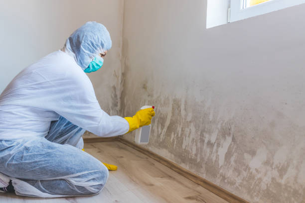 Licensed Crawl Space Mold Remediation service in Odessa, TX - Car Mold Remediation