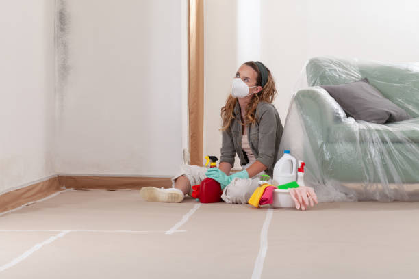 Reliable Crawl Space Mold Remediation contractor in Odessa, TX by Car Mold Remediation